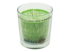 Palmová vonná svíčka ve skle eukalyptus